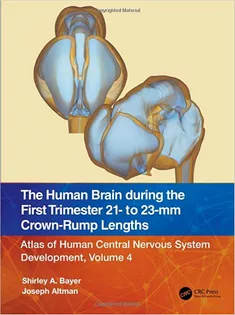 9781032183312 The Human Brain During the First Trimester 21- to 23-Mm Crown-Rump Lengths