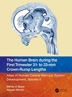 The Human Brain During the First TrimesterVolume 5