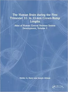 The Human Brain During the First Trimester 31- to 33-Mm Crown-Rump Lengths: Volume 5
