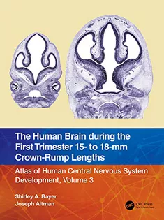 The Human Brain During the First TrimesterVolume 3