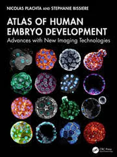 Atlas of Human Embryo Development Advances with New Imaging Technologies