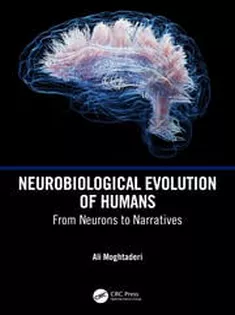 Neurobiological Evolution of Humans From Neurons to Narratives