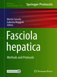 Fasciola Hepatica