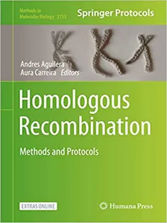 Homologous Recombination: Methods and Protocols