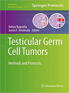 Testicular Germ Cell Tumors: Methods and Protocols