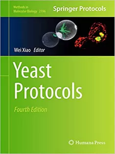 Yeast Protocols