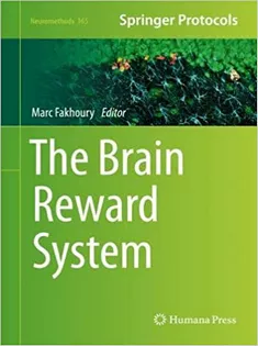 The Brain Reward System