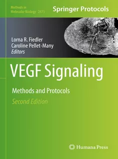 VEGF Signaling