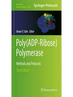 Poly(ADPRibose) Polymerase