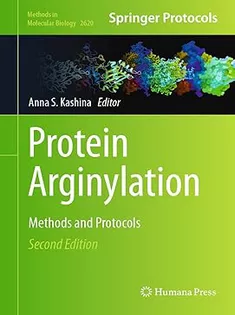 Protein Arginylation