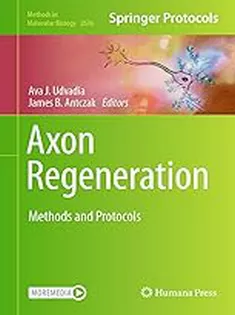 Axon Regeneration