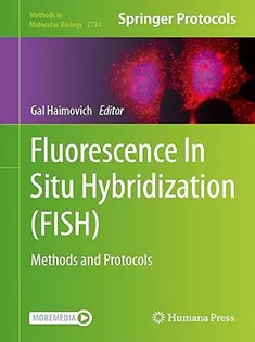 Fluorescence In Situ Hybridization