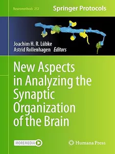 New Aspects in Analyzing the Synaptic Organization of the Brain