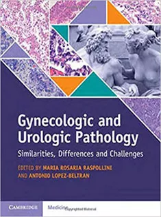 Gynecologic and Urologic Pathology: Similarities, Differences and Challenges
