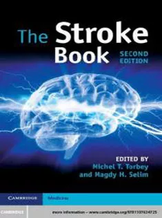 The Stroke Book