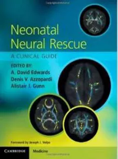 Neonatal Neural Rescue