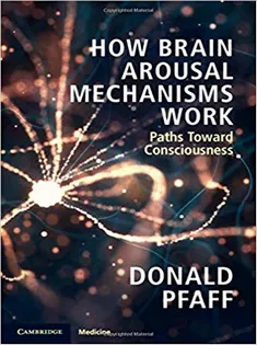 How Brain Arousal Mechanisms Work