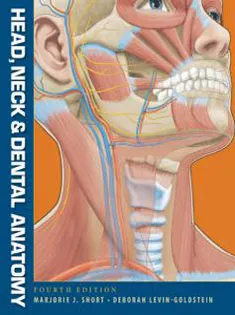Head,Neck and Dental Anatomy