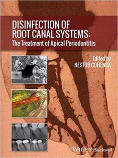 Disinfection of Root Canal Systems: The Treatment of Apical Periodontitis