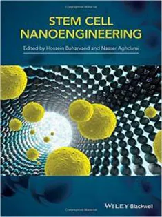 Stem Cell Nanoengineering