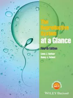 The Reproductive System at A Glance