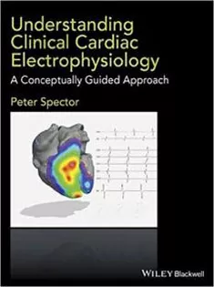 Understanding Cardiac Electrophysiology: A Conceptually Guided Approach