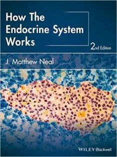 9781118931486 How the Endocrine System Works