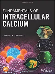 Fundamentals of Intracellular Calcium