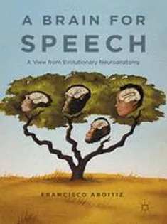 A Brain for Speech A View from Evolutionary Neuroanatomy
