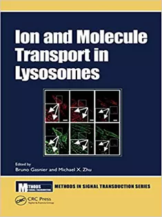 Ion and Molecule Transport in Lysosomes