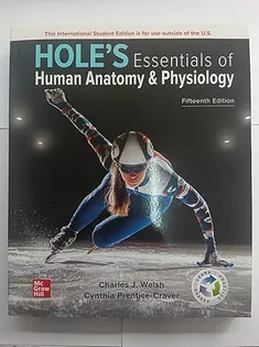 Hole's Essentials of Human Anatomy & Physiology ISE