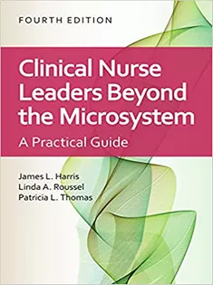 Clinical Nurse Leaders Beyond the Microsystem: A Practical Guide