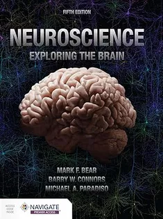 Neuroscience: Exploring the Brain