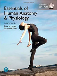 Essentials of Human Anatomy & Physiology