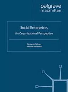 Social Enterprises: An Organizational Perspective