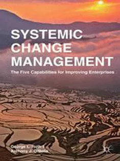 Systemic Change Management: The Five Capabilities for Improving Enterprises