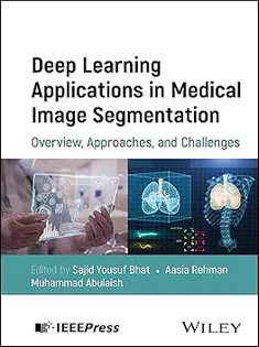 Deep Learning Applications in Medical Image Segmentation: Overview, Approaches, and Challenges