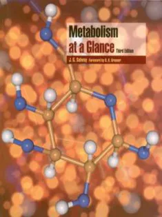 Metabolism at A Glance