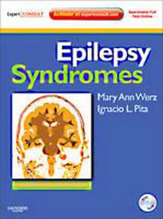 Epilepsy Syndromes