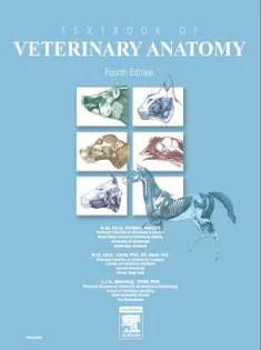 Textbook of Veterinary Anatomy