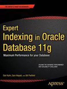 Expert Indexing in Oracle Database 11G: Maximum Performance for Your Database
