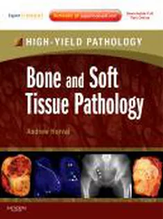 Bone And Soft Tissue Pathology