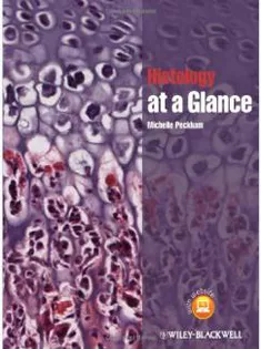 Histology at A Glance