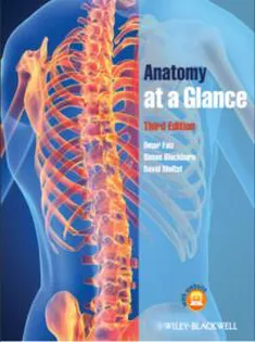 Anatomy at A Glance