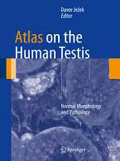 Atlas on the Human Testis: Normal Morphology and Pathology