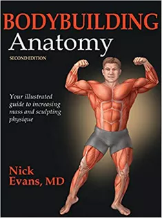 Bodybuilding Anatomy