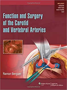 Function and Surgical Repair of the Carotid and Vertebral Arteries