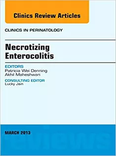 Retinopathy of Prematurity, An Issue of Clinics in Perinatology
