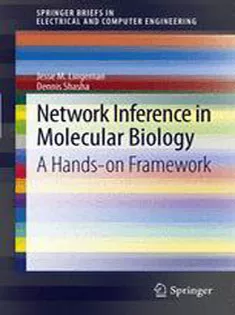 Network Inference in Molecular Biology: A Hands-on Framework
