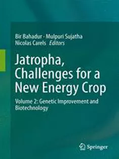 Jatropha, Challenges for A New Energy Crop: Volume 2: Genetic Improvement and Biotechnology